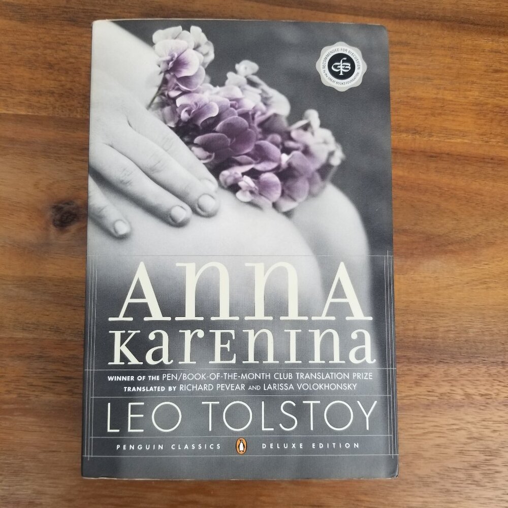 Anna Karenina Paperback Soft Cover Leo Tolstoy 800+ Pages Y2K Edition